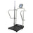 Health O Meter - Floor Scale with Handrail Digital LCD Display 1000 lbs. / 454 kg Capacity Gray AC Adapter / Battery Operated - 1100KLHR-BT