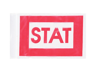Action Health STAT Zip Bags, Clear, 4W x 6H, 2 Mil - A40602S