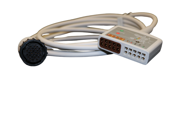 GE CLAB ECG Trunk Cable, 12-lead, AHA, 3.0 m/10 ft. - ECG 2003419-001