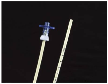 Airway Exchange Catheters AIRWAY, CATH 8FR - G57624