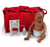 Special Needs Infant