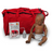 Special Needs Infant