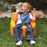 Patterson Medical Child Rite Seat