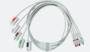 Leads
