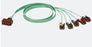 Leads