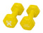 Cando Vinyl Coated Dumbbell- Pair
