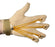 Flexion Glove