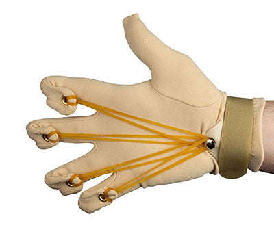 Flexion Glove