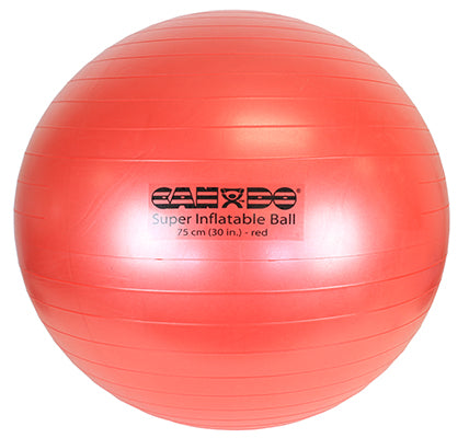 Exercise Ball