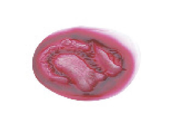 Training Aids & Models