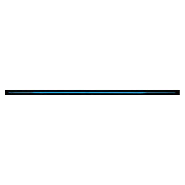 Globe Scientific  Rigid Inoculation Loop Blue 20 Peel Pk/25/Ca 500/Ca