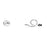 Beaver-Visitec Int Cannula Self-Retaining ACM Visitec 2gx9/64 55Deg 25 Flx Tb 3/Bx
