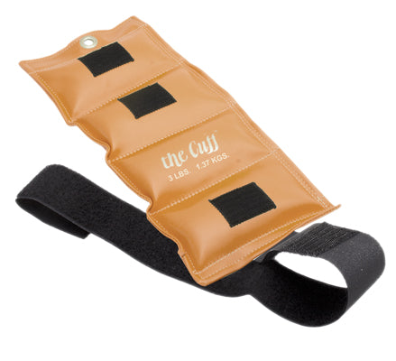 Ankle and Wrist Weight