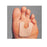 Pedifix Protector FEL Tastic Wool/Felt 1 Size Callus 40/Pk