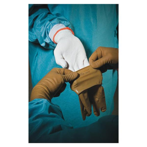 Ansell Healthcare Products  Glove Liner Cut-Resistant Polyethylene Lg Wht/Blu Cf Rsbl 5/Bx