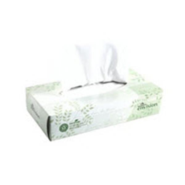 Georgia Pacific Tissue Facial Envision White 2 Ply 30Bx/Ca