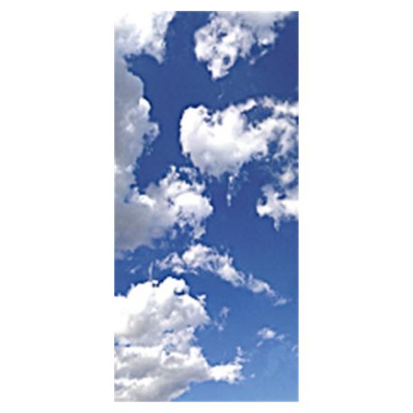 Medline Industries  Diffuser Fluorescent Light Sky-Scapes 23-3/4x47-3/4" 1/Ca