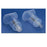 Smiths Medical ASD Blood Draw Holder Device Saf-T Plastic 200/Ca