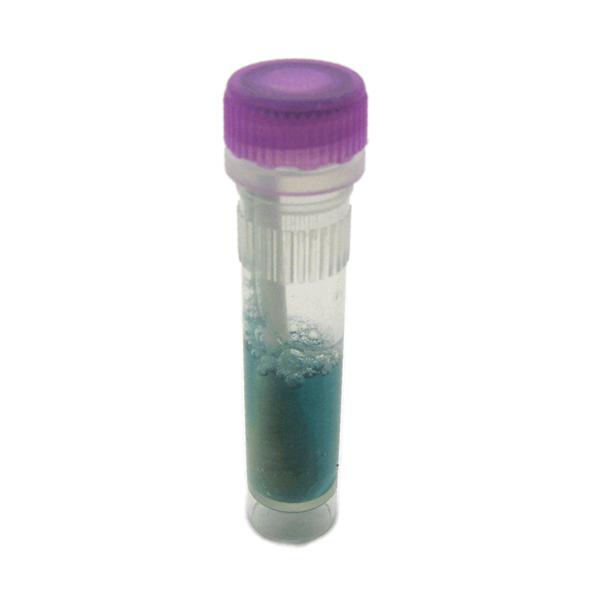 Healthmark Industries EndoCheck: Protein Residue - Endocheck Protein Detection Kit, 2 mm x 230 cm - EDP-200P