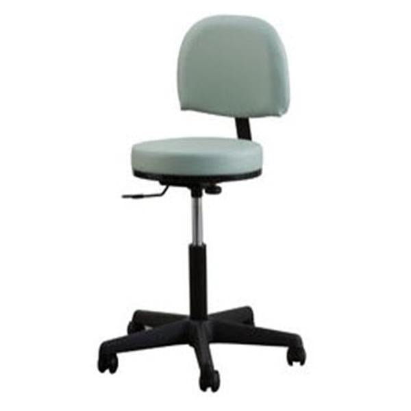 Oakworks Stool Exam Premium Blue Grass 5 Lg/Cstr Low Padded Backrest Ea (60352-T24)