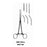 Miltex-Integra Miltex Forcep Hmstc Rchstr-Ochsnr Meister-Hand 8 Serr Crv 1x2Tth SS 1/Ea