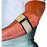 Scott Specialties Tennis Elbow Wrap with Loop Lock Closure Universal 