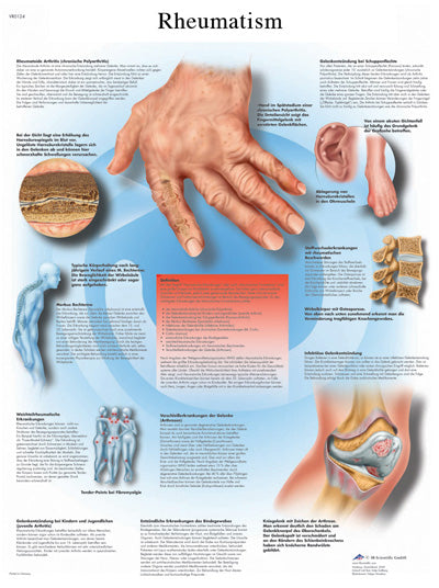 FEI Anatomical Paper Chart