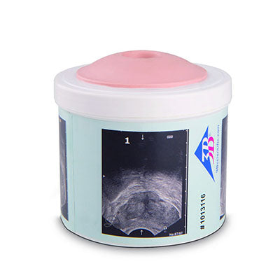 Prostate Examination Trainer