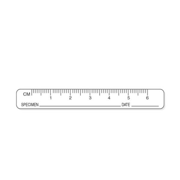 Precision Dynamics  Ruler Label Specimen Date White 3x3/8" w/9 Slots 1000/Rl
