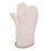 Medline Industries  Mitt Autoclave Terrycloth 17 in 1Pr/Pk