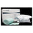 Ferris Mfg  Bandage SportsWrap PolyMem Foam 5x36" NS Roll Green 2x4/Ca