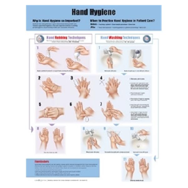 Wolters Kluwer Health  Chart Anatomical Hand Hygiene 20x26" Ea