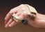 Nerve Orthosis 