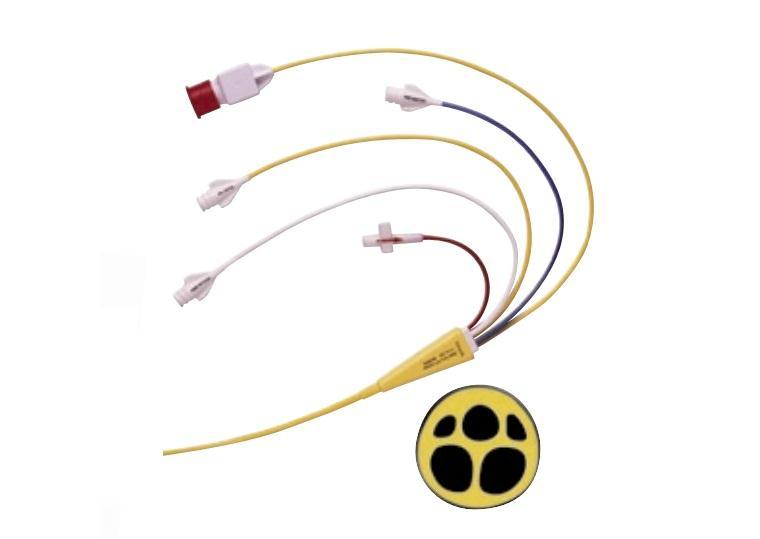 Edwards Lifescience Swan-Ganz Thermodilution Catheters - Swan-Ganz Catheter, Monitoring - 123F6P