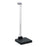 Detecto Scales Scale Physician 600lb Digital Ea