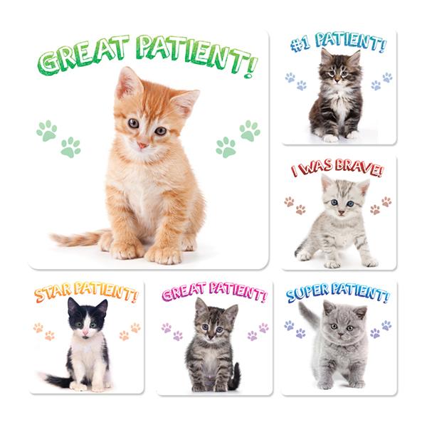 Sherman Specialty Stickers 2.5 in x 2.5 in Kitten Patient 100/Rl