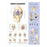 Wolters Kluwer Health  Chart Anatomical Knee Injuries Ea