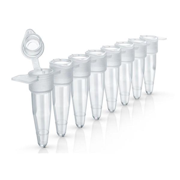 Kendro Laboratory Products EasyStrip Tube Strip 20uL 250/Ca (AB2005)