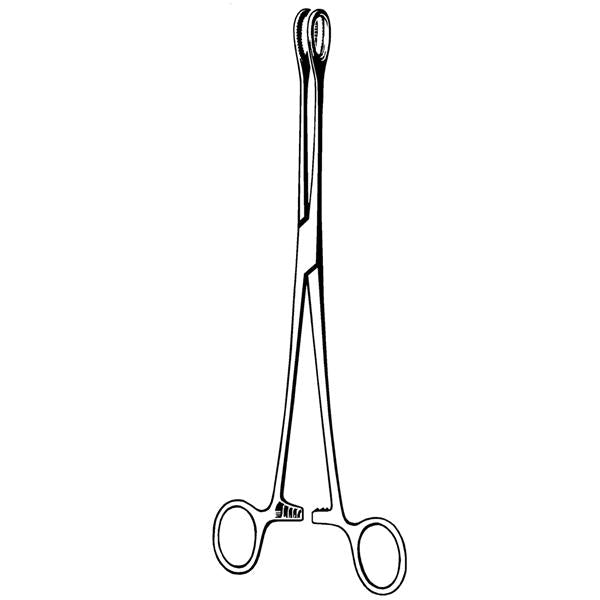 Sklar Instruments Abraders Sponge Foerster Econo 9.5" Fen Tp Serr Crv SS Disp Ea, 12 EA/BX (21-586)