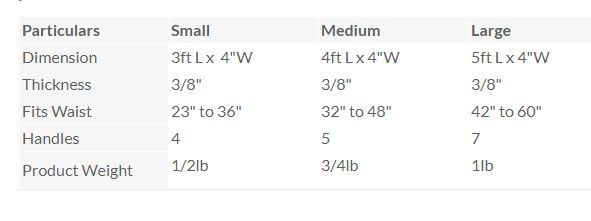 MTS SafetySure Sherpa Lined Transfer Belt