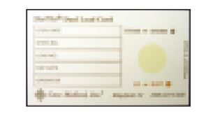 Case Medical SteriTite Products for Transport - Process Indicator Cards / Labels - SCL01