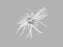 Embolization Coils