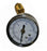 Test Pressure Gauge