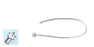 Eagle Labs Infusion Cannulae - Infusion Cannula with Beveled Tip, 20G x 4.0 mm - 175-40