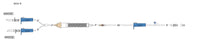 Codan US Nonvented Transfusion Set with Filter - TRANSFUSION SET, NON-VENTED SPIKES, ROLLER - B830N