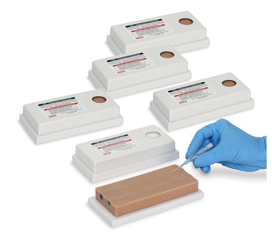 Nasco Two-Vein Model Venipuncture Training Aid - Two-Vein Venipuncture Training Aid - SB25039 U