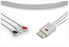 Leads