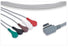Leads