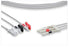 Leads