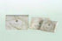 Dial Individually Wrapped Deodorant Bar Soap - SOAP, DIAL, DEODORANT, BAR, SIZE, 1 1/2, WRAP - DIA00194A